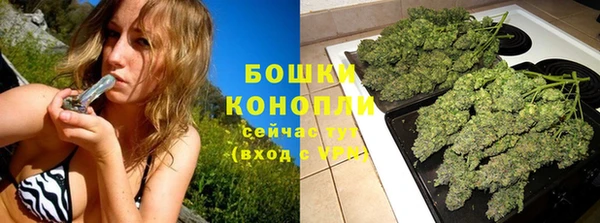 гашик Заволжье