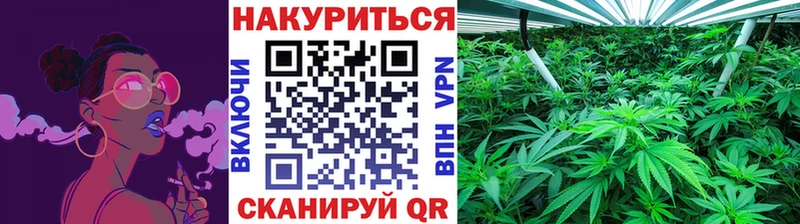 Купить закладки Райчихинск Шишки марихуана VHQ